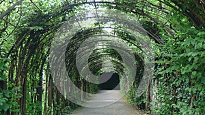 Green arch alley