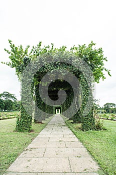 Green archway in a garden.