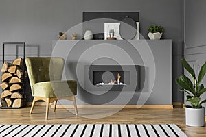 Green armchair and firewood next to fireplace in grey living room interior with plant. Real photo