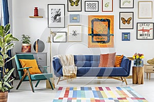 Green armchair next to blue settee in colorful living room inter photo