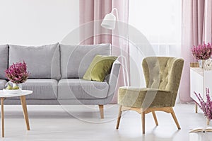 Green armchair standing in white living room interior with grey couch, window with pastel pink drapes and heathers