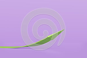 Green arrow up icon on isolated purple background,minimal cursor symbol 3d rendering illustration design,growth business and