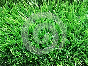 Green Artificial Grass Texture or Background