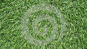 Green artificial grass texture and background