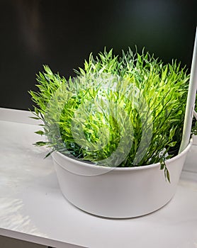 Green artificial plants in metal white painted bucket under lamp