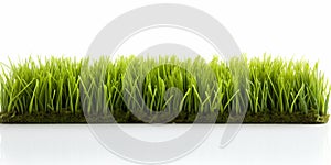 Green Artificial Turf Roll On A White Background