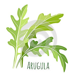 Green arugula leaves with colourful inscription under it isolated