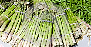 Green asparagus