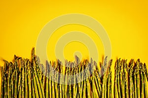 Green asparagus arranged on a yellow background