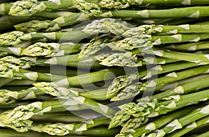 Green Asparagus background