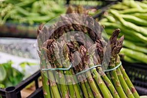 green Asparagus bunch on grocery market. Vegetable crisper full of green ripe raw sprouts. Healthy organic food