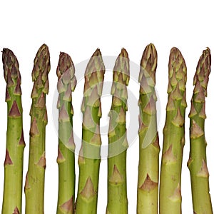 Green asparagus isolated on white