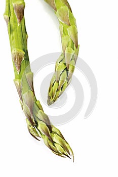 green asparagus isolated on white, vertical photo.