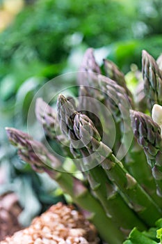 Green asparagus
