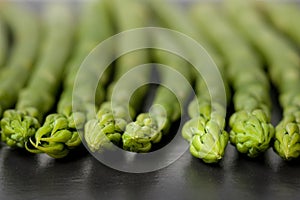 Green Asparagus on Slate