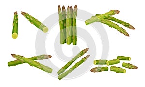 Green Asparagus Spears Whole and Cut Vector Set