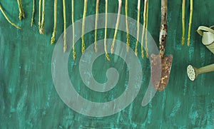 green asparagus with vintage asparagus cutter and watering can, food, springtime,healthy eating