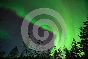 Green aurora borealis in lapland, Finland photo