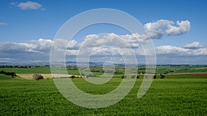 Green Australia Farmland Landscape