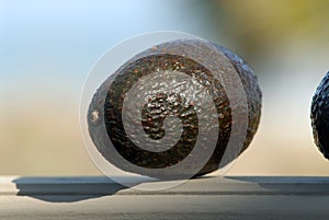 A green avacado sitting on a windowsill