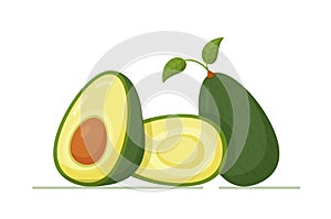 Green avocado with bone and leaves. Vector illustration.