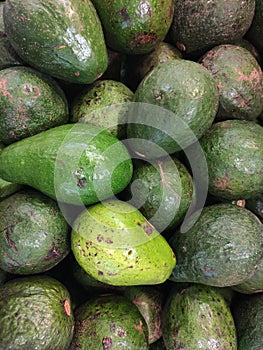 Green Avocado freshen good taste photo