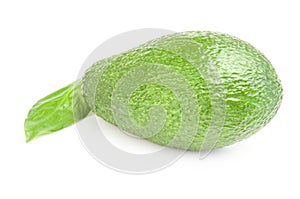 Green avocado isolated on a white background