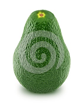 Green avocado isolated on white background photo