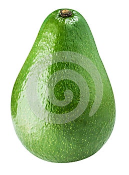 Green avocado isolated on white bsckground