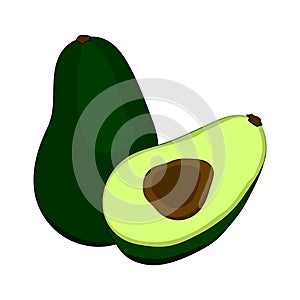 Green avocado with ossicle in a cut. Vector illustration. Hand drawing photo