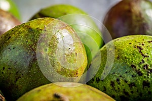 Green avocado skin photo taken in bogor jakarta indonesia