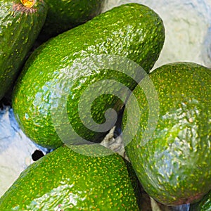 Green avocados in their packaging box.