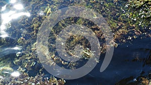 Green azure turquoise blue transparent sea salt water texture. Top view of the water surface and ripples. Water sea