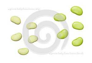 Green baby lima beans dry and fresh isolated on white background. Top view