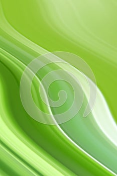 Zelený 