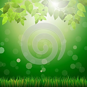 Green background with grass, leafs, bokeh and sunshine