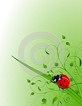 Green background with ladybug