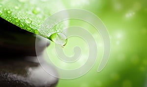 Green background spa. leaf and water drop