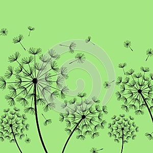 Green background with stylized black dandelions