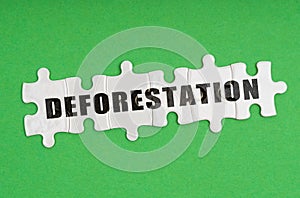 On a green background, there are puzzles on which it is written - deforestation