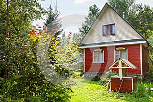 Green backyard of country cottage with well