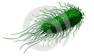 Green bacteria salmonella. Vector illustration