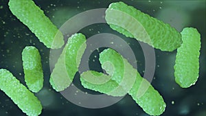 Green bacterium