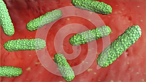 Green bacterium 3d illustration