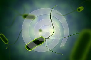 Green bacterium with flagella microscopic view in fluid