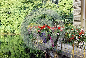 Green balcony with flowers