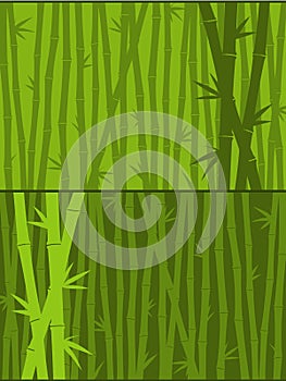 Green bamboo background