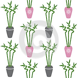 Green bamboo branch with leaves in pink and gray pots boho style on a white background seamless pattern home plant asia tropical