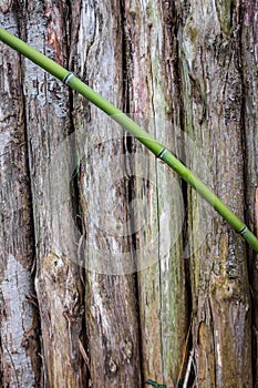 bamboo cane on rough wooden planks background