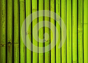 Green bamboo fence texture, bamboo background, texture background, bamboo texture